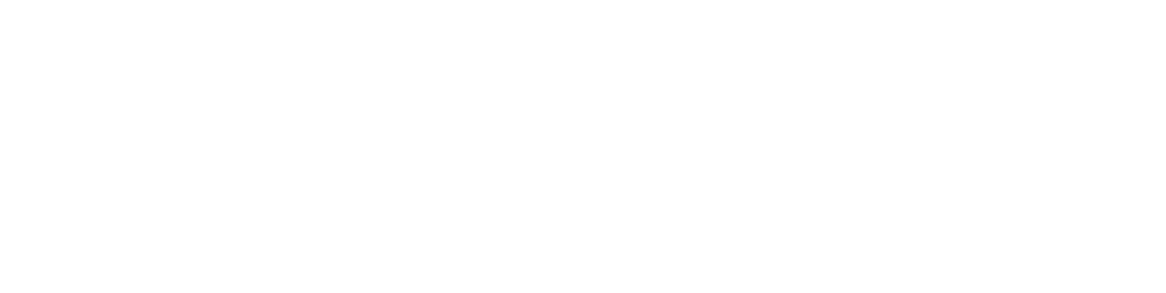 SAPA logo